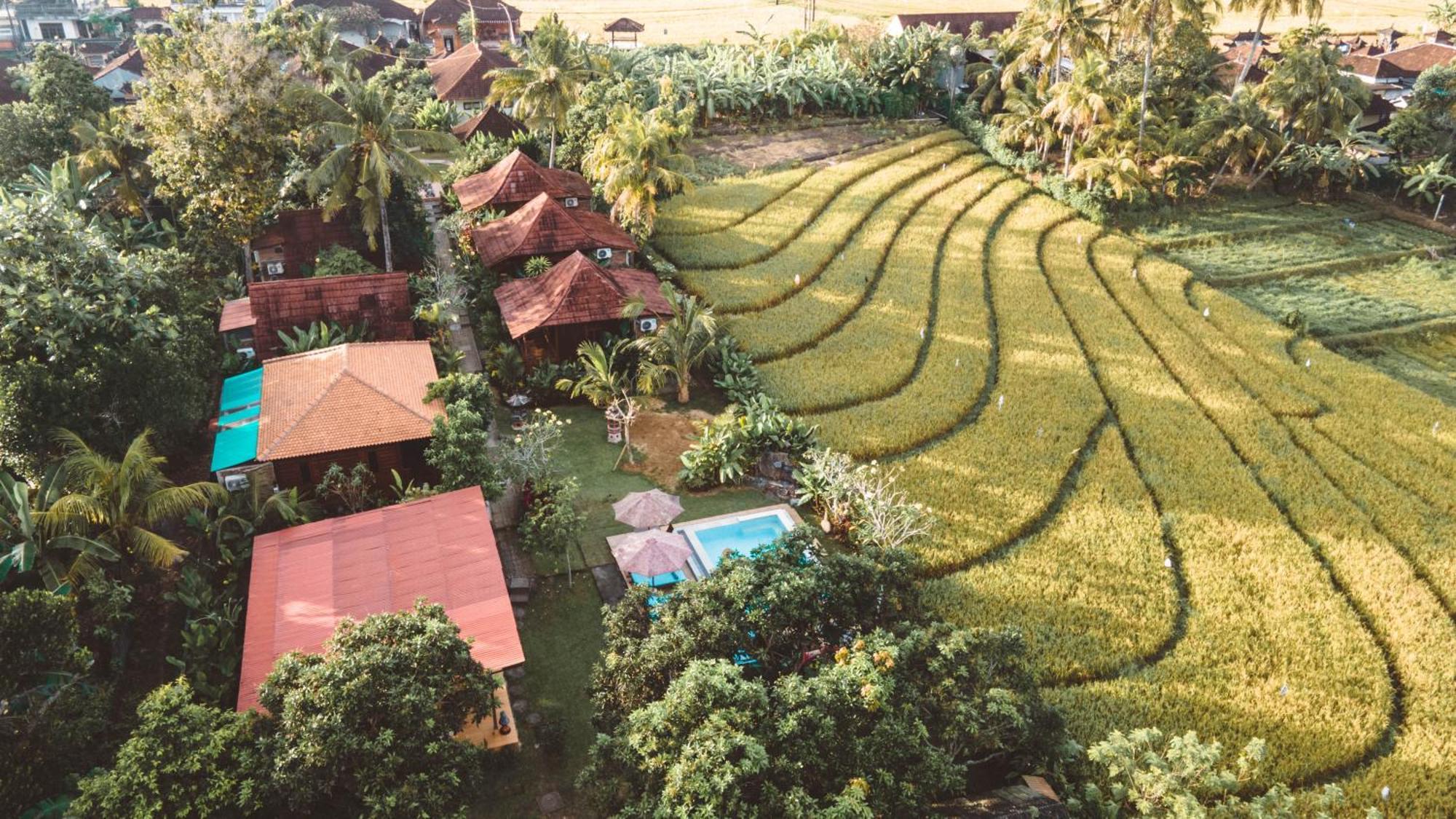 The Dukuh Retreat Apartment Tabanan  Bagian luar foto